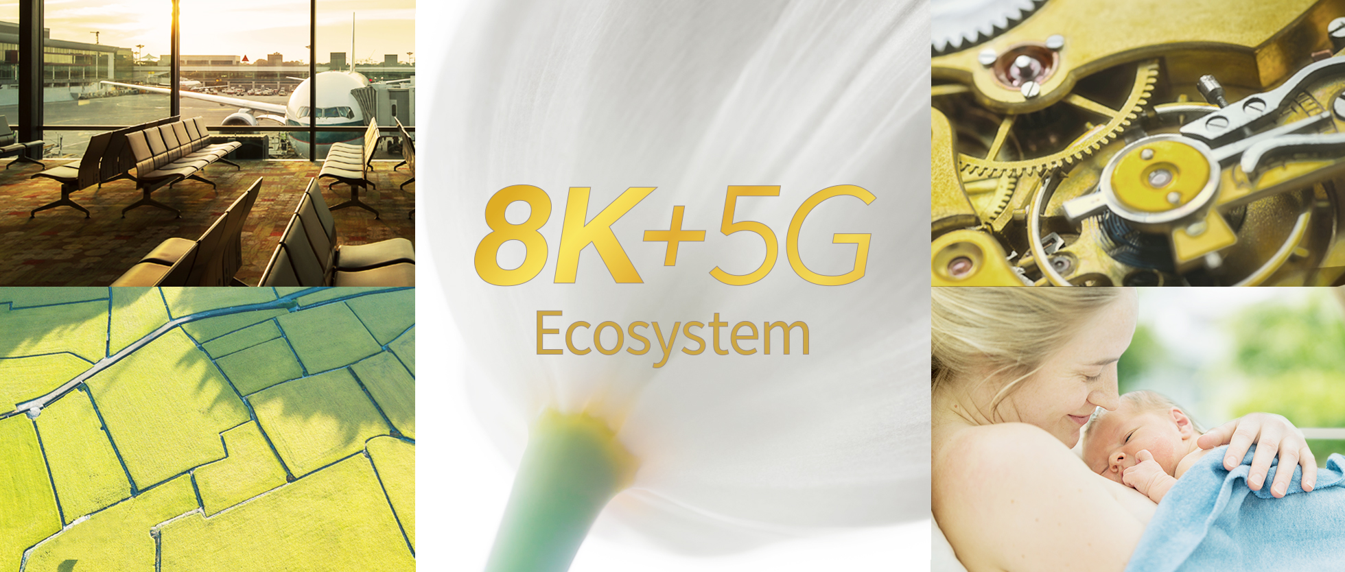 8k 5g Ecosystem - HD Wallpaper 