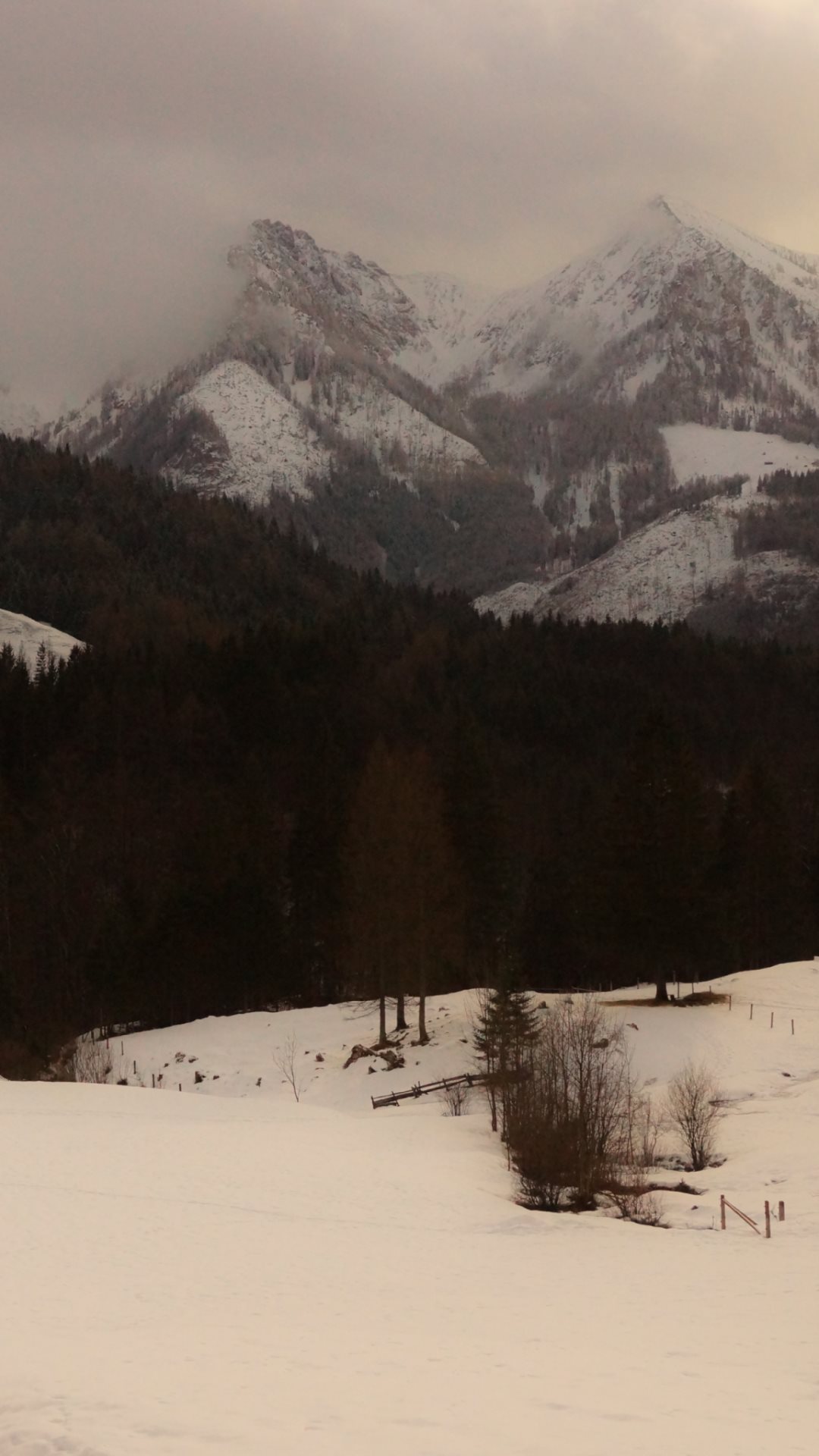 Oppo R7 Plus Wallpaper №7 - Apple - HD Wallpaper 