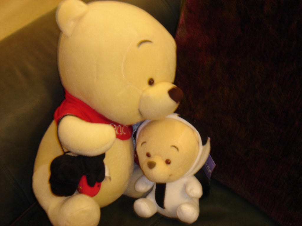 Teddy Bear - HD Wallpaper 