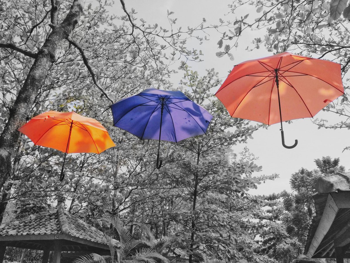 Umbrella - HD Wallpaper 