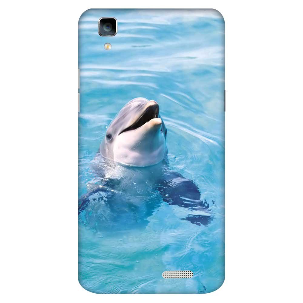 Dolphin Hd 1920 - HD Wallpaper 