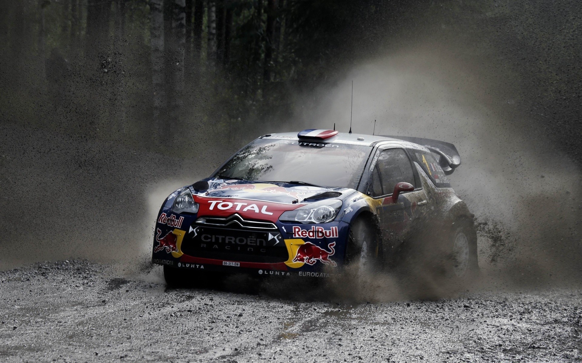 Cars Race Competition Vehicle Hurry Championship Action - Wrc Wallpaper Hd - HD Wallpaper 