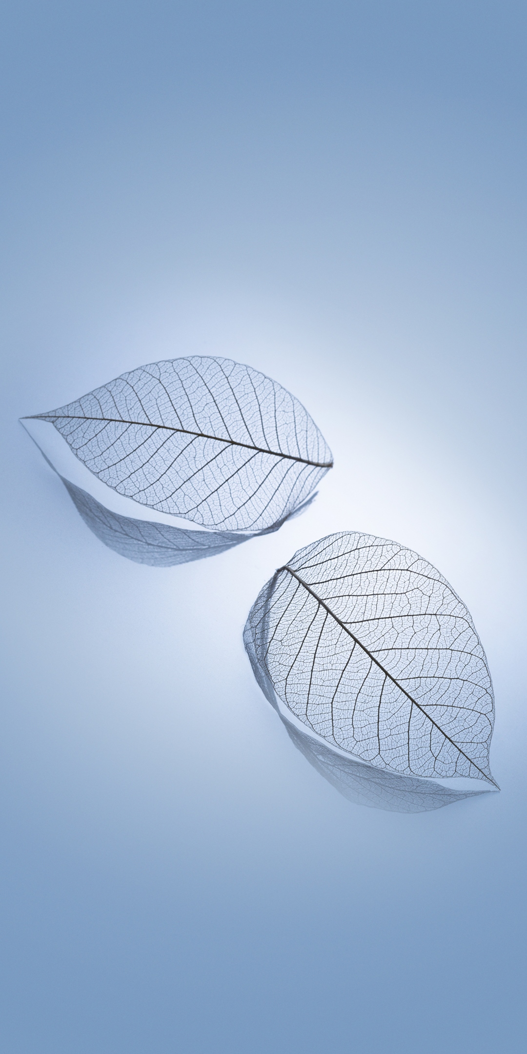 Mi A3 Wallpaper Hd Download - 1080x2160 Wallpaper Mi A3 Wallpaper Hd Download - 1080x2160 Wallpaper