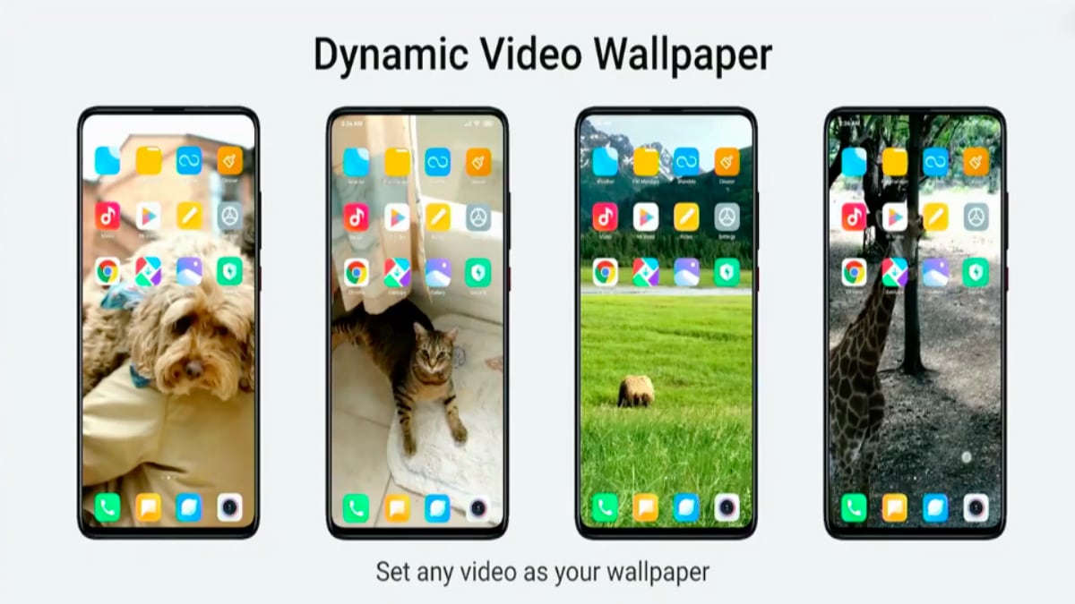 Miui 11 Dynamic Video Wallpaper Miui - Miui 11 Update Features - HD Wallpaper 