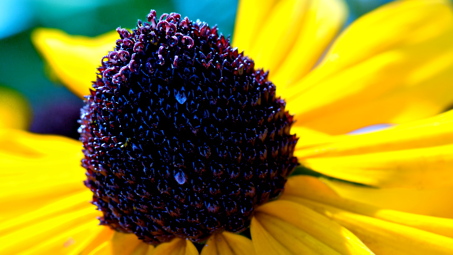 All Mix Wallpaper Download - HD Wallpaper 