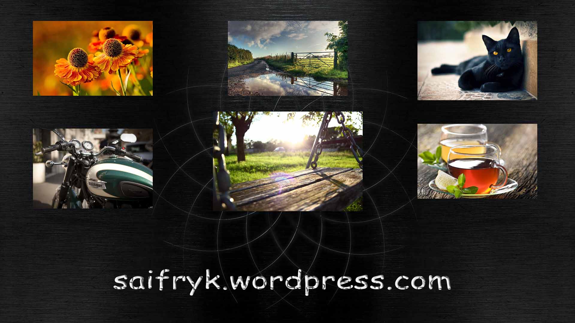 Wallpaper - Collage - HD Wallpaper 