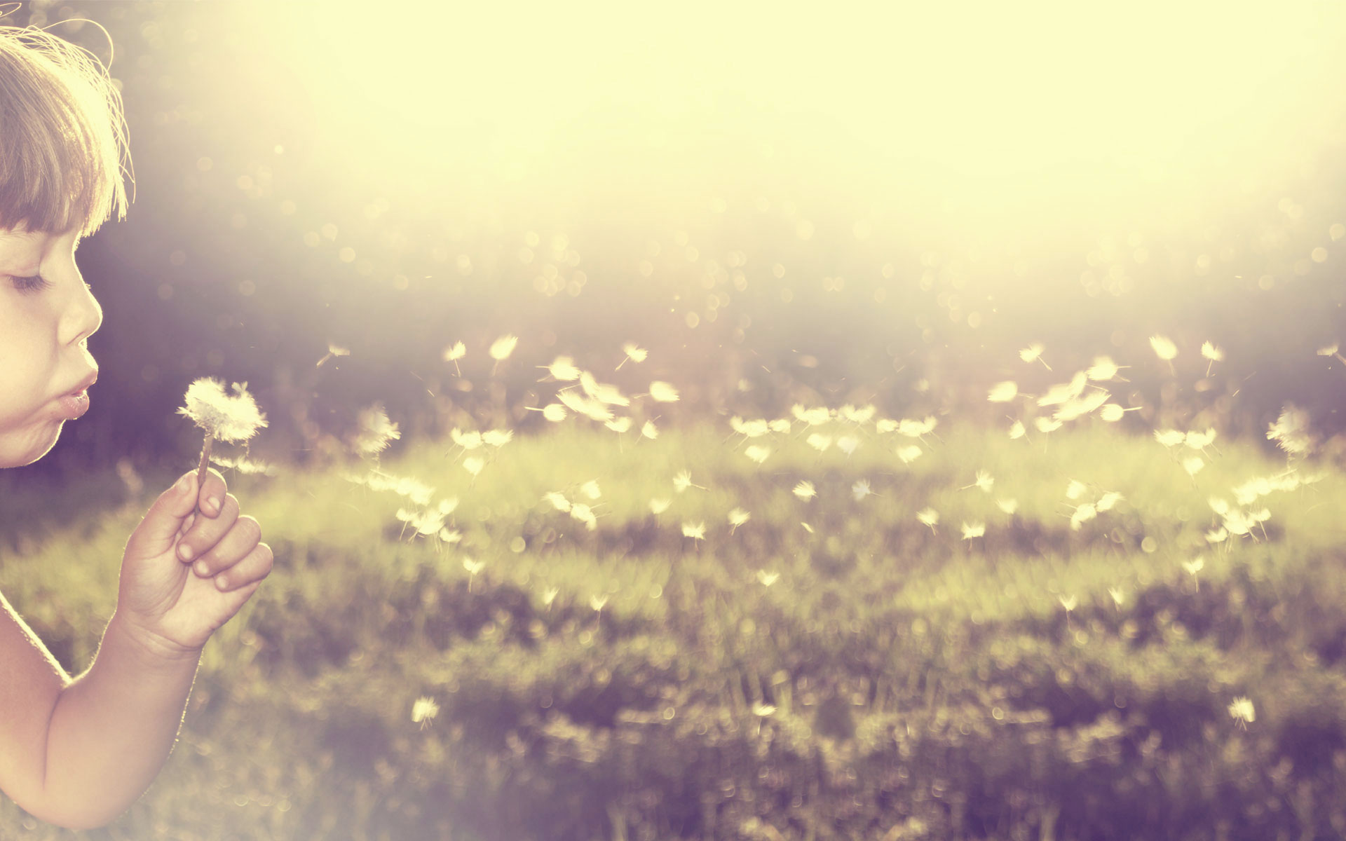 Baground Power Point - HD Wallpaper 