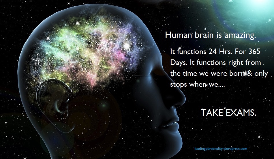 Human Brain - Amazing Human Brain Quotes - HD Wallpaper 
