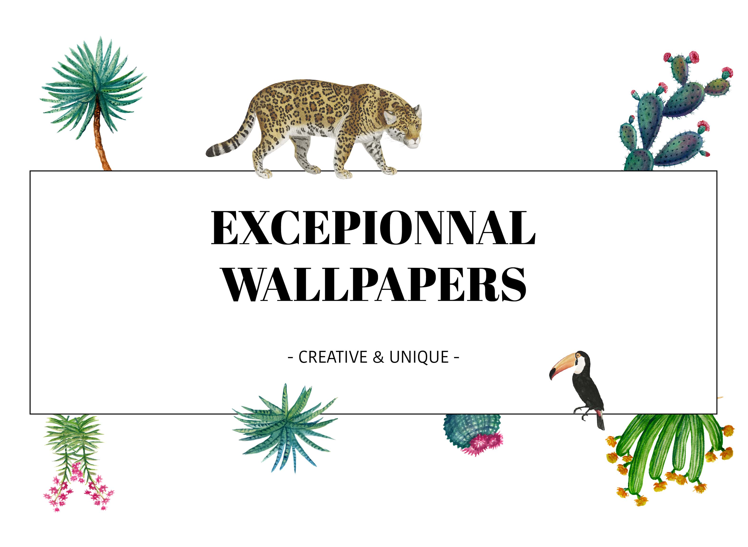 Jaguar - HD Wallpaper 