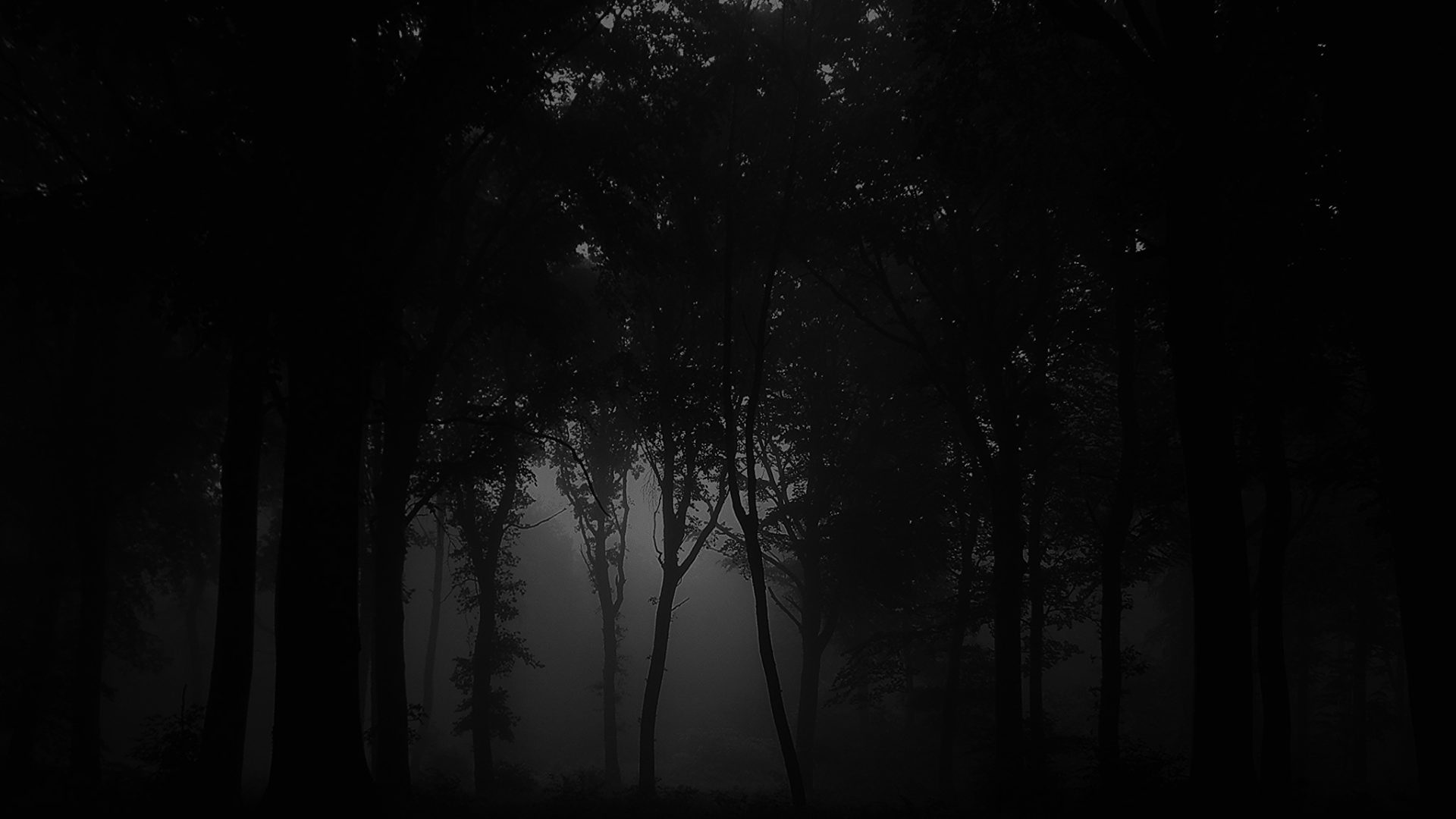 Fog - HD Wallpaper 