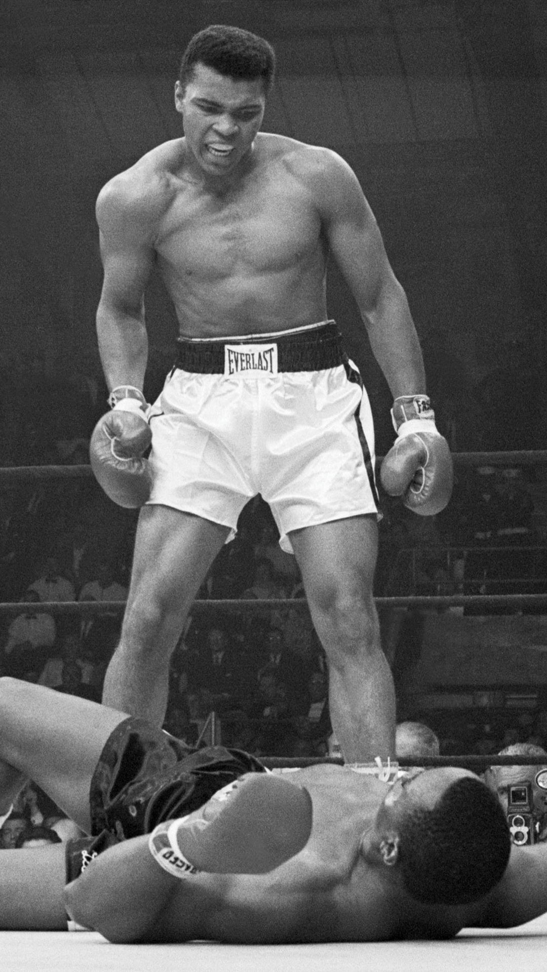 The Ring, Mohammed, Ali, Blow, , Legend, Boxing Photo - Muhammad Ali Wallpaper Iphone - HD Wallpaper 