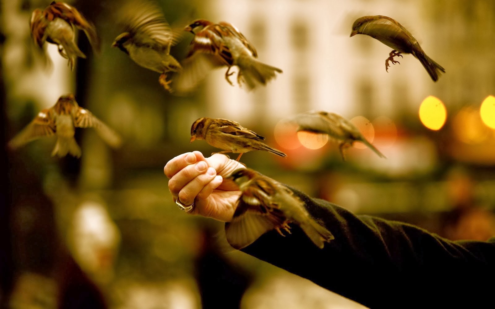 Wallpaper Unik Hd - Mobile Iphone 1080p Wallpaper Hd - HD Wallpaper 