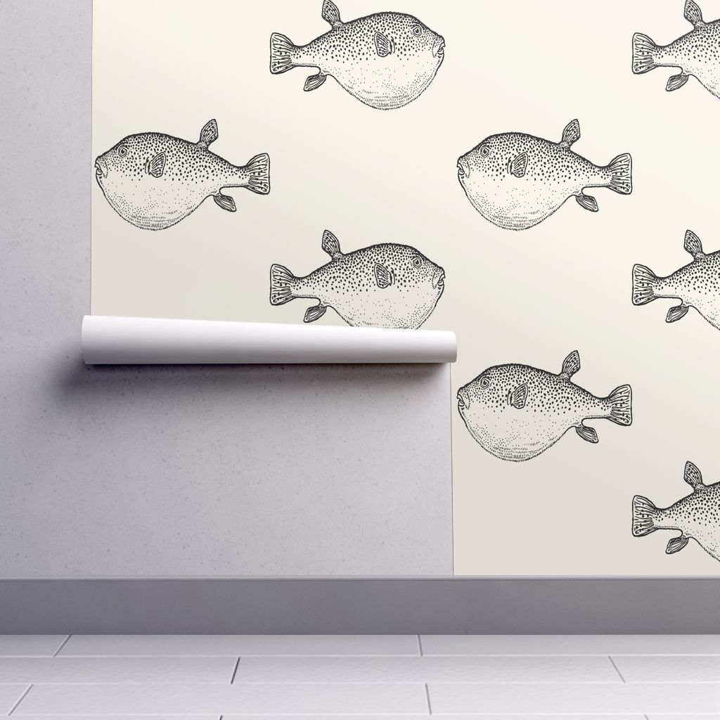 Pufferfish - HD Wallpaper 