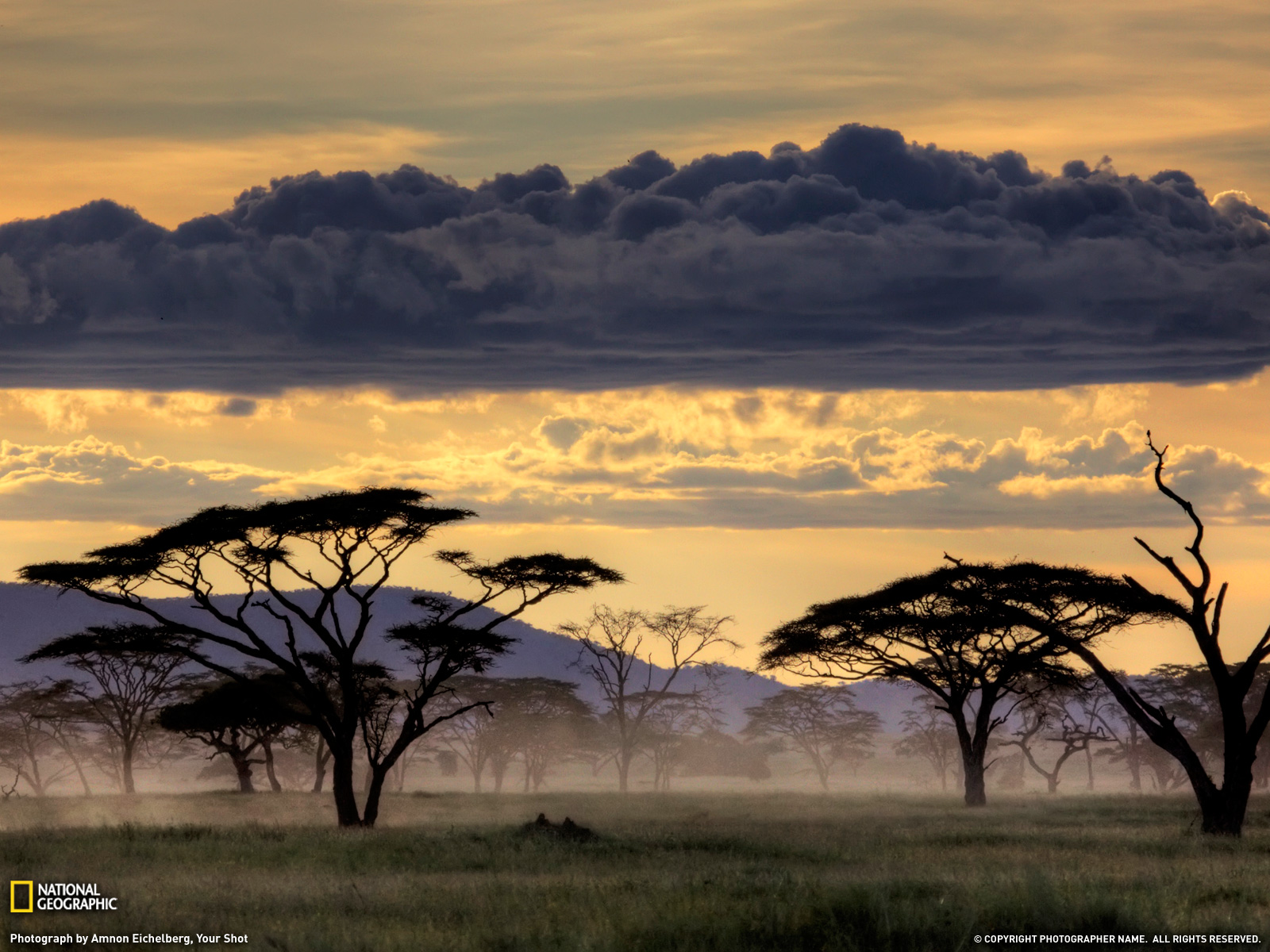 Serengeti Plain National Geographic - HD Wallpaper 