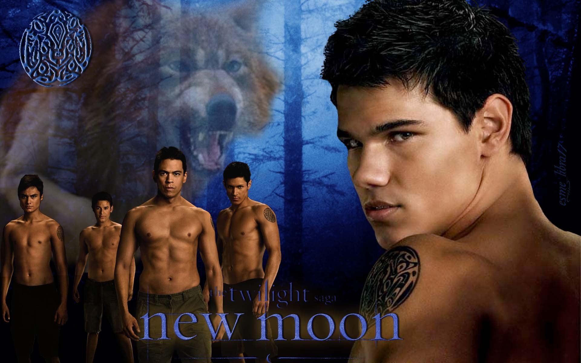 New Moon Wallpaper - Taylor Lautner - HD Wallpaper 