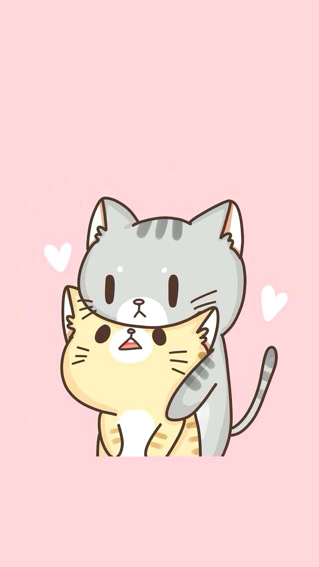 Cute Wallpaper Cat - HD Wallpaper 