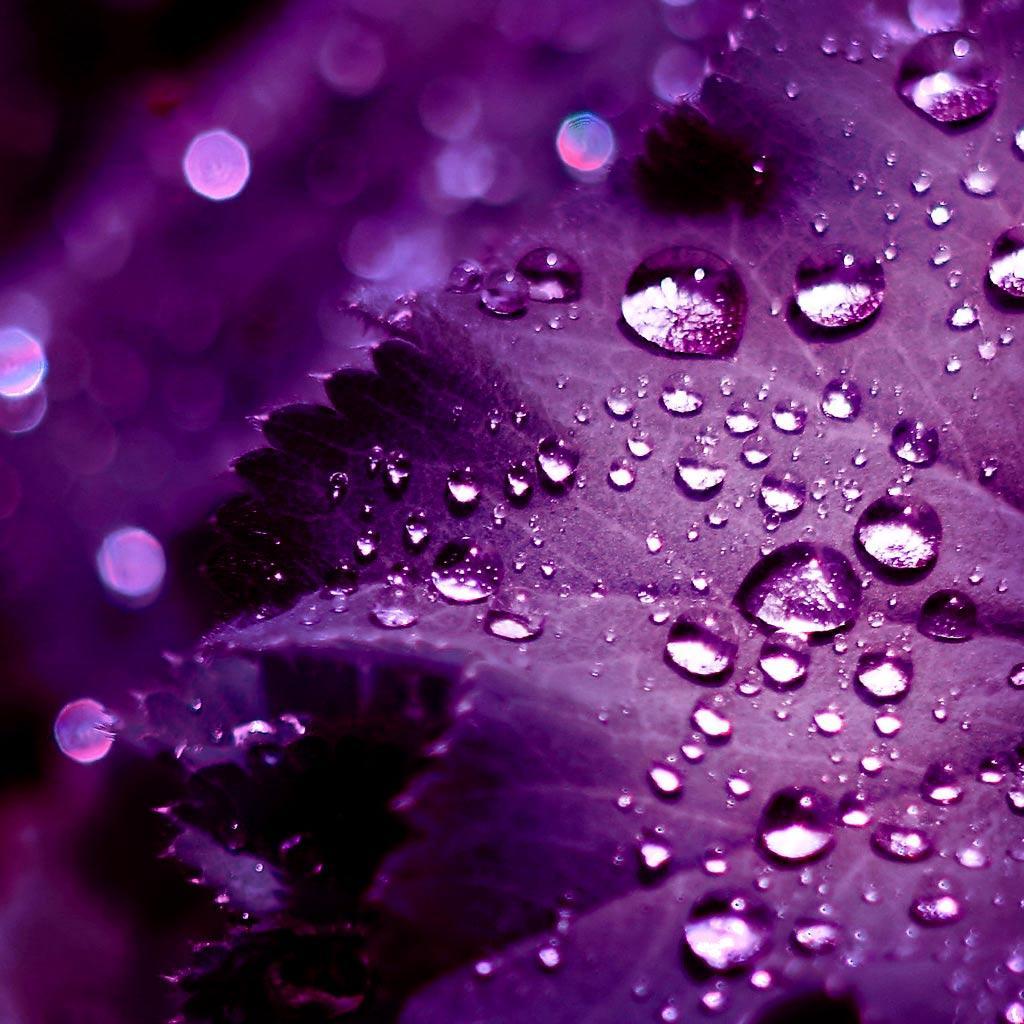 Water Drop Wallpaper Hd - HD Wallpaper 