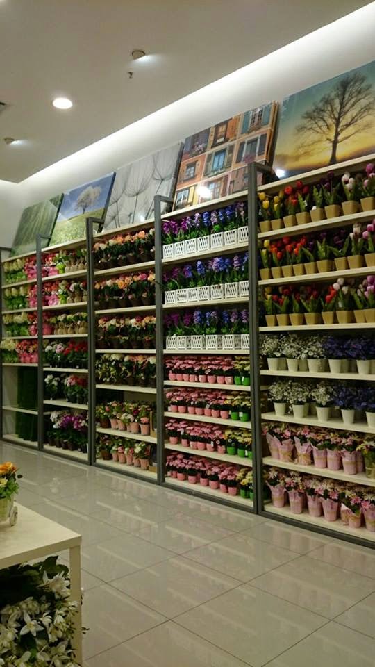 Cawangan Kaison Malaysia - Kaison Di Ioi Mall Putrajaya - HD Wallpaper 