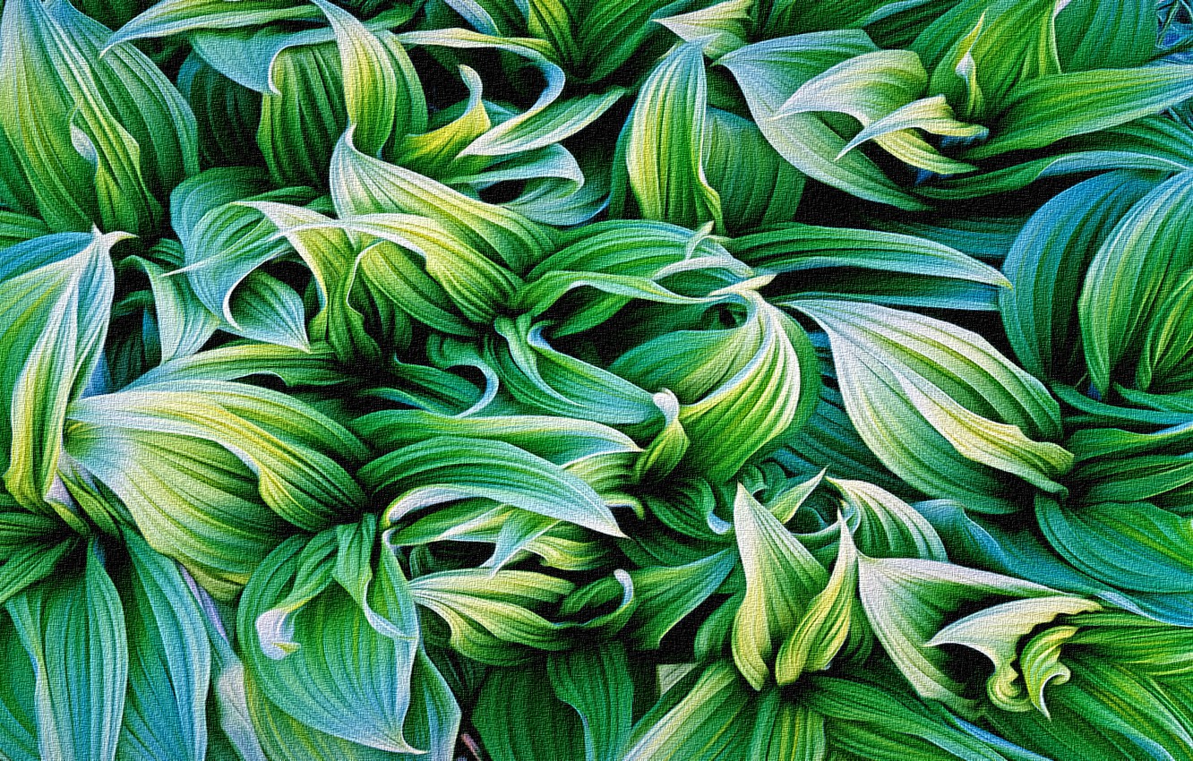 Photo Wallpaper Leaves, Abstraction, Rendering, Background, - Christopher Burkett - HD Wallpaper 