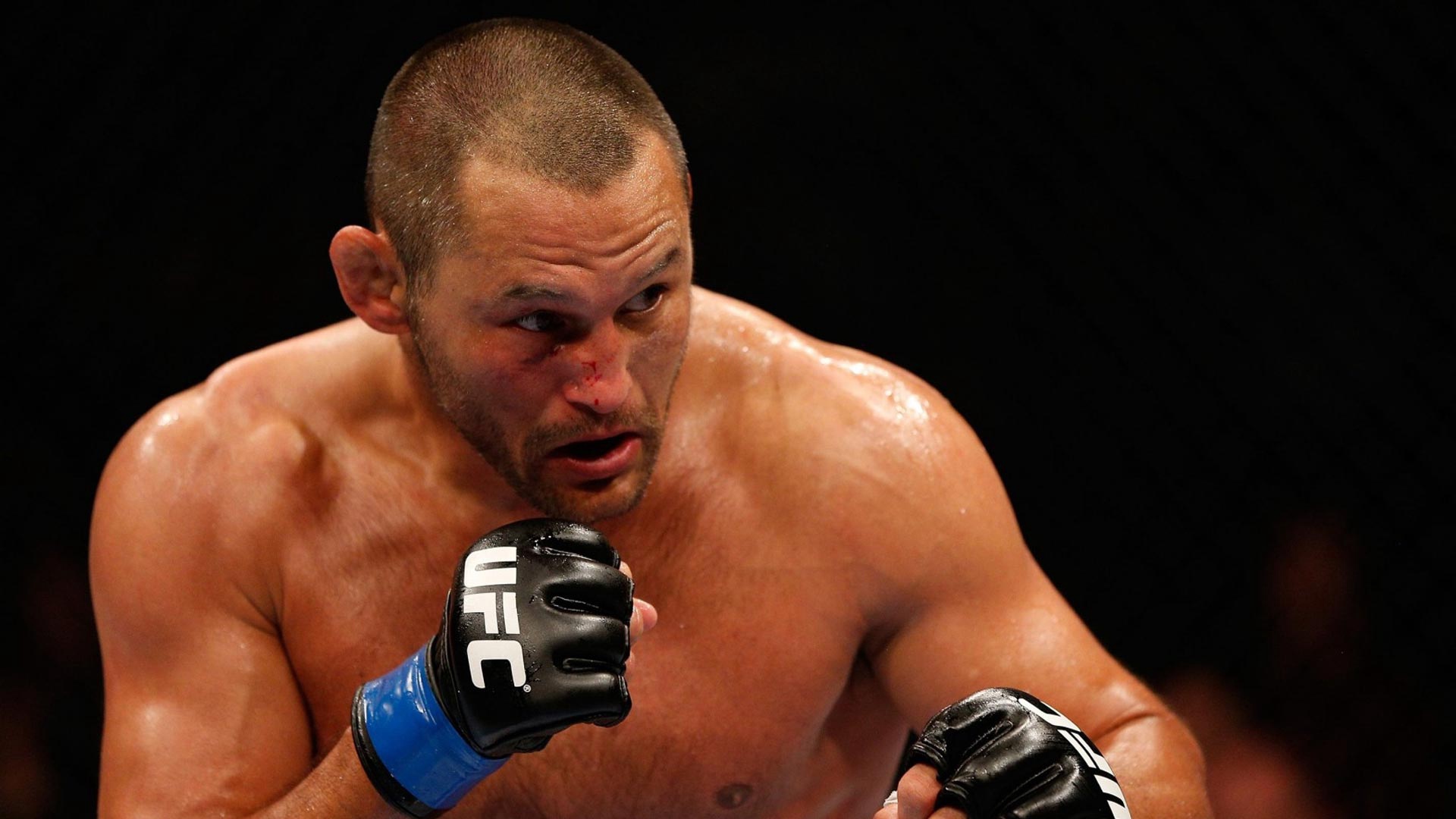 Wallpaper Dan Henderson, Fighter, Mixed Martial Arts, - Дэн Хендерсон - HD Wallpaper 