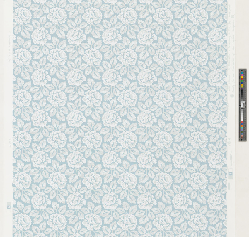 Wallpaper - HD Wallpaper 