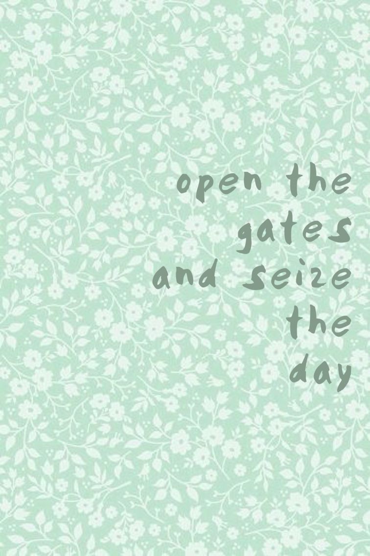 Wallpaper - HD Wallpaper 