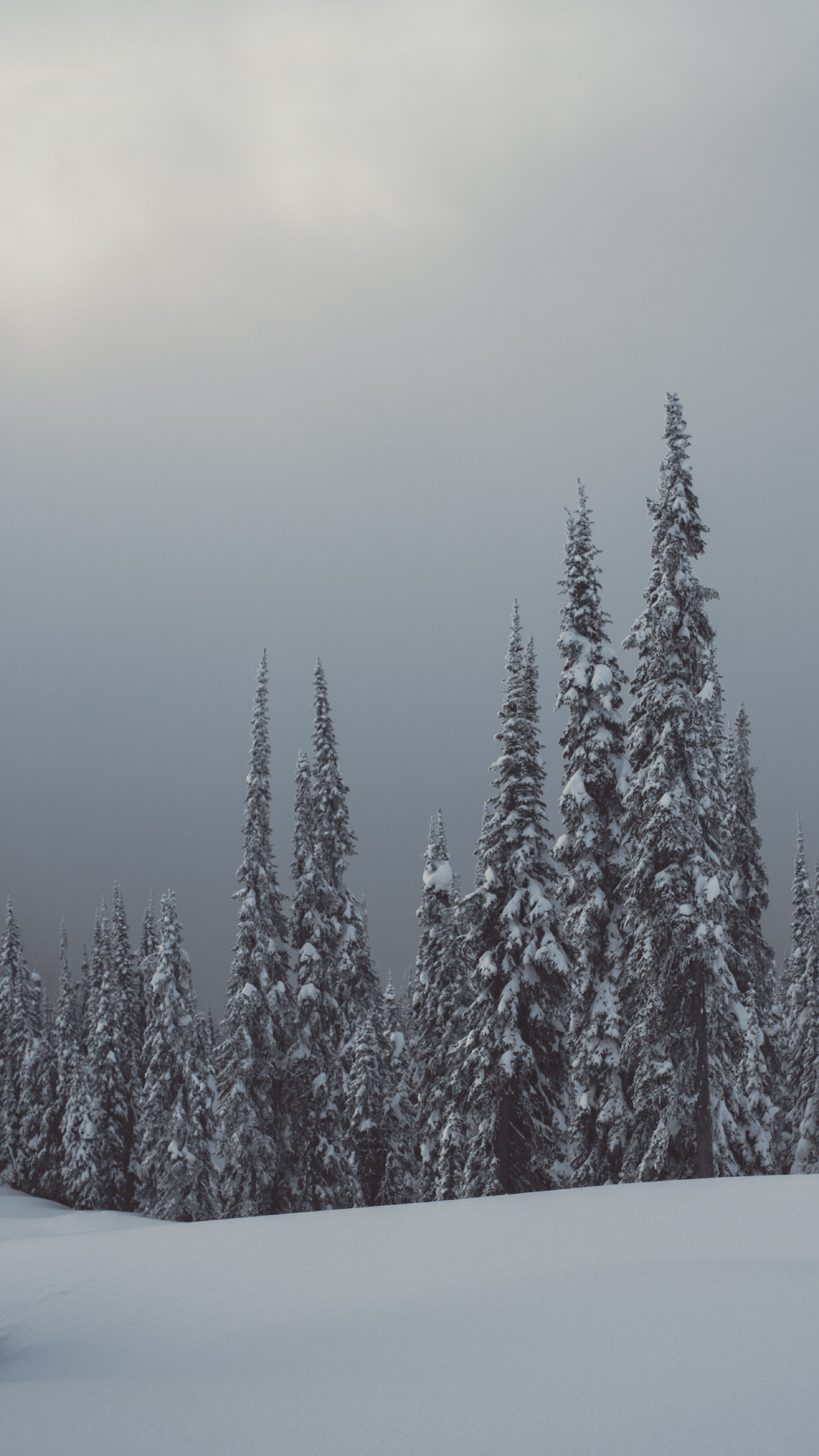 Snow - HD Wallpaper 