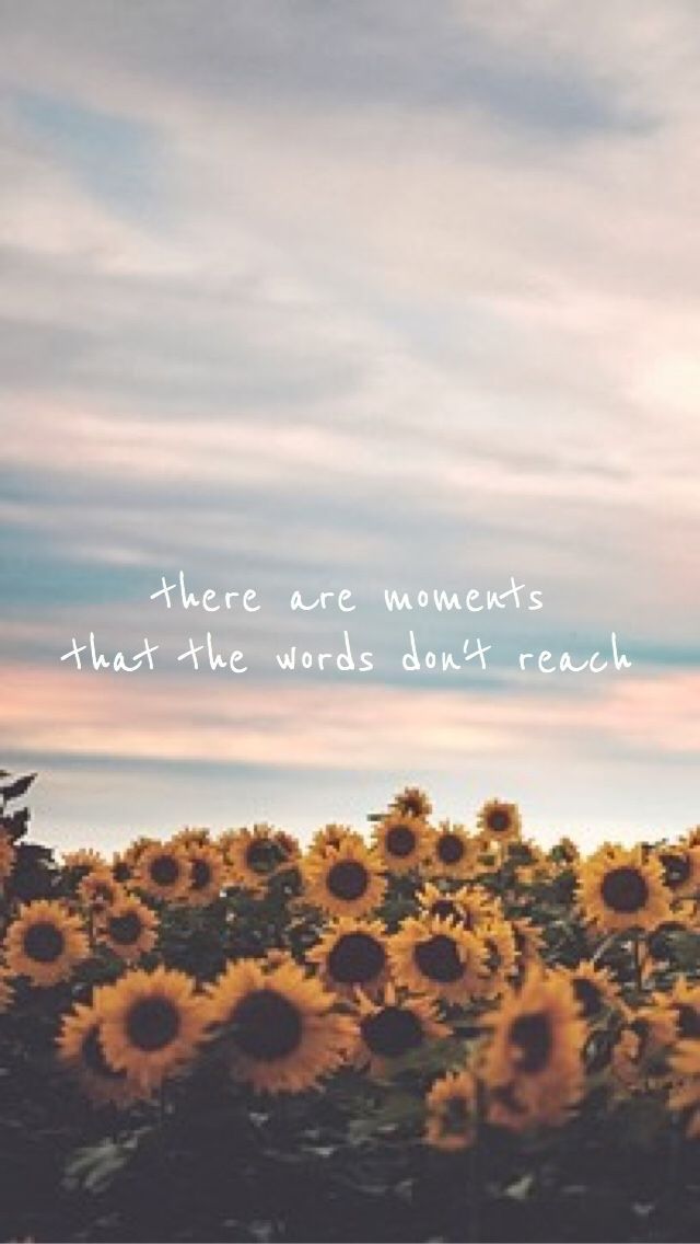 Aesthetic Lockscreen Quotes - HD Wallpaper 