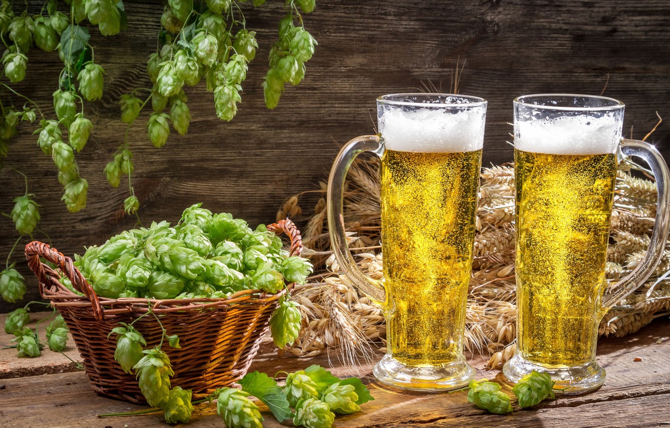 Photo Wallpaper Foam, Beer, Mugs, Basket, Light, Hops - Хміль Пиво Фото - HD Wallpaper 