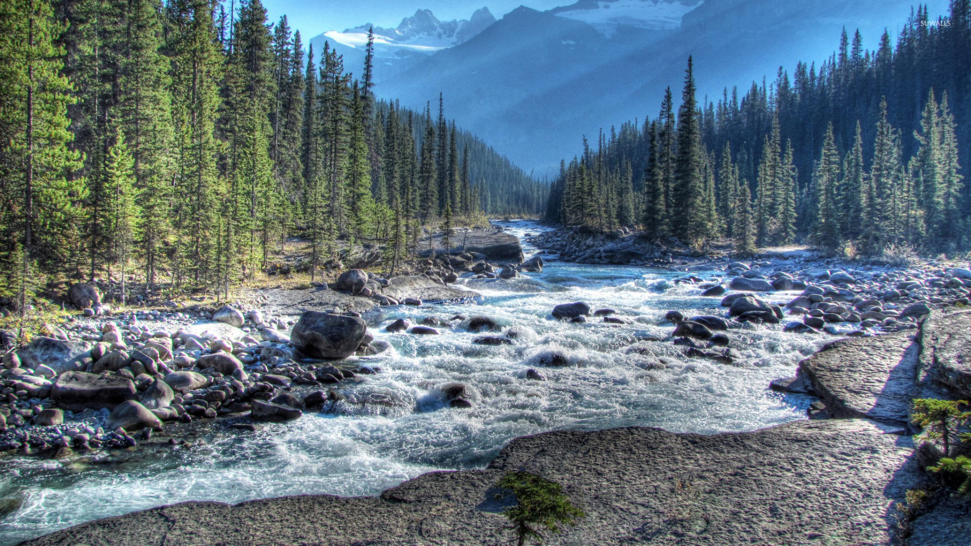 Mistaya River - HD Wallpaper 