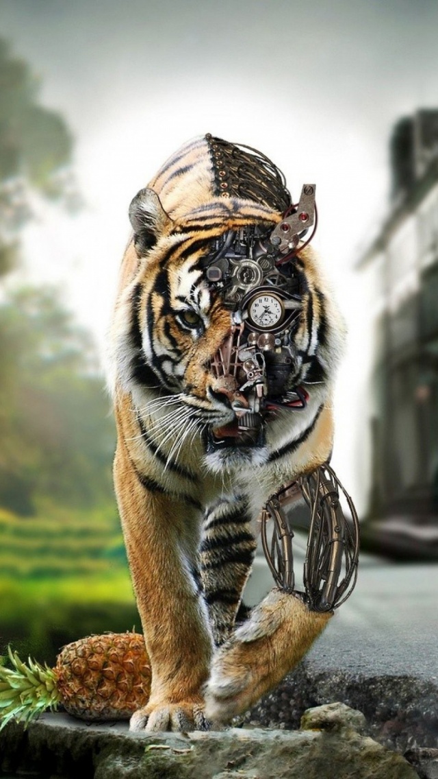 Adršpach-teplice Rocks - HD Wallpaper 