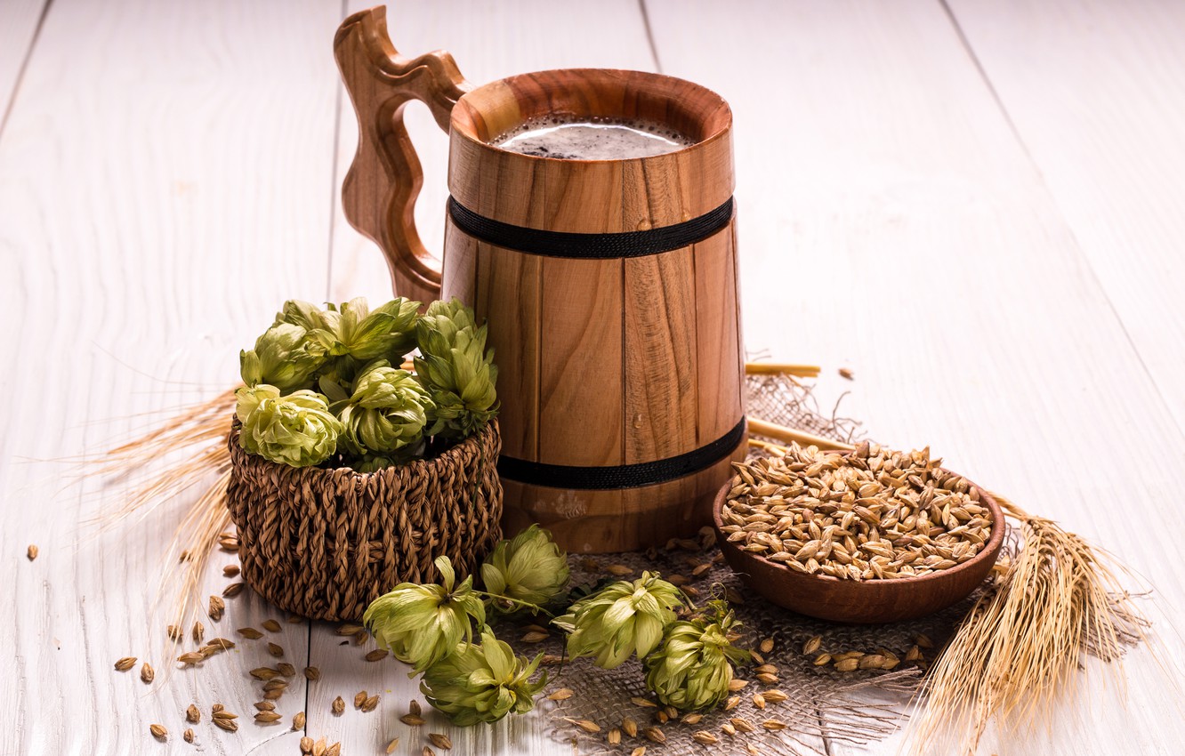 Photo Wallpaper Board, Beer, Mug, Ears, Millet, Grain, - Chocolate Y Lupulo Fondo De Pantalla - HD Wallpaper 