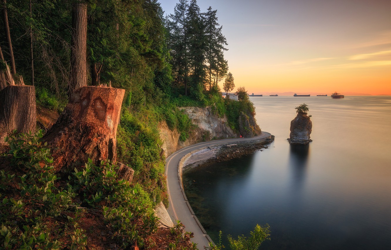 Photo Wallpaper Road, Sea, Forest, Rock, Coast, Canada, - Vancouver Wallpaper Stanley Park - HD Wallpaper 