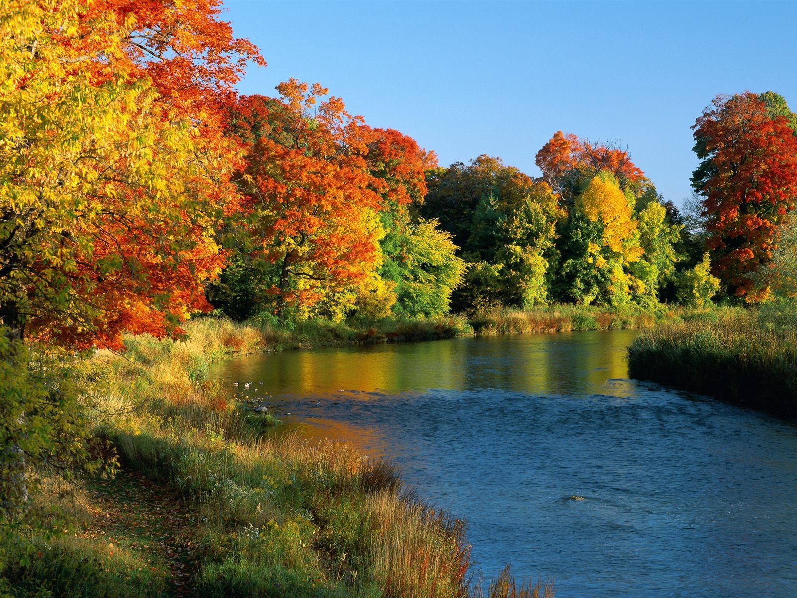 Wallpaper Ontario, Canada, Trees, River, Coast, Autumn, - Vermont Background - HD Wallpaper 