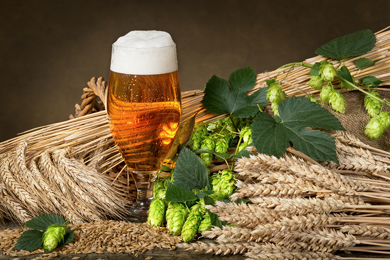 Beer Grains And Hops - HD Wallpaper 