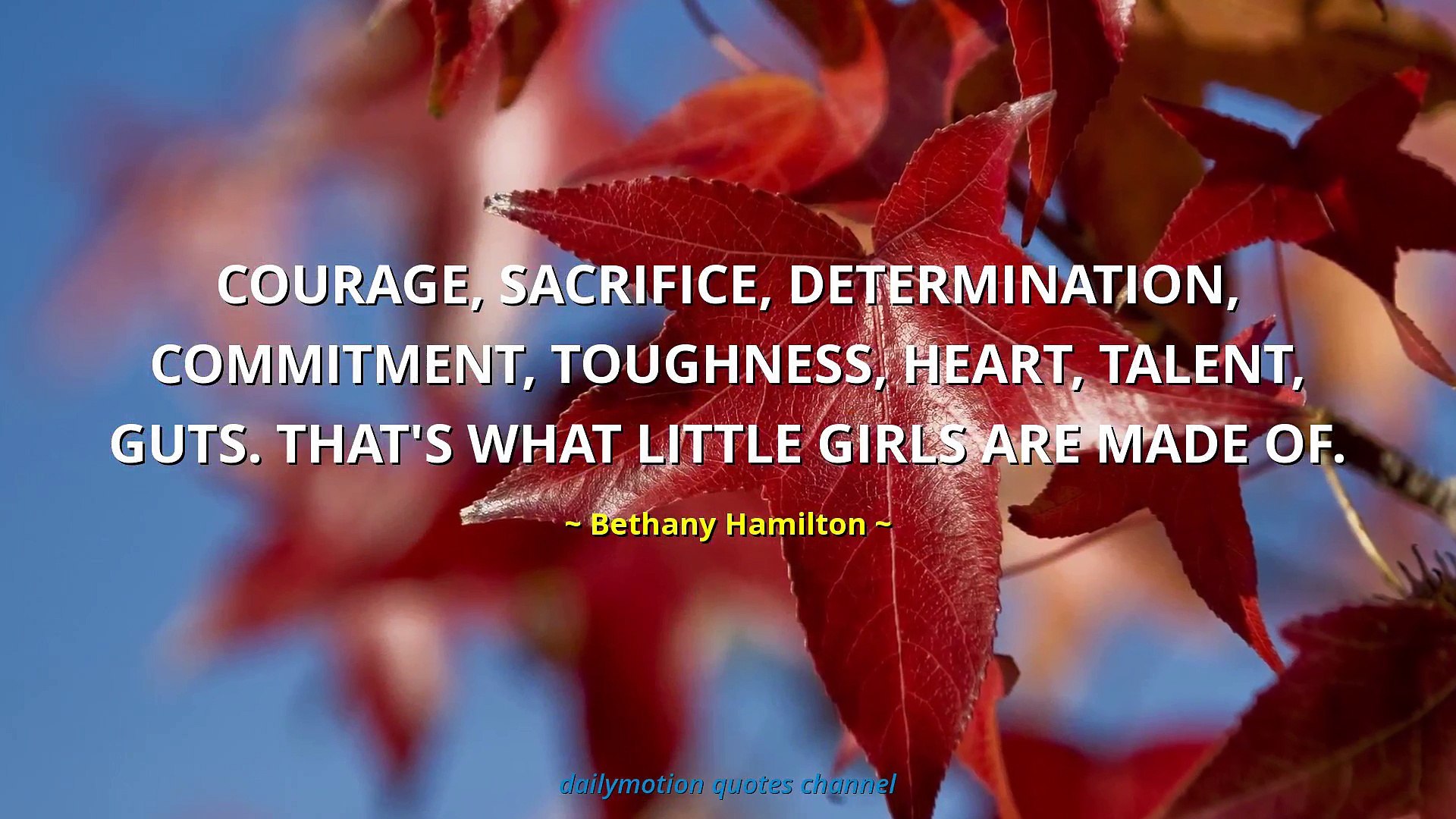 Красные Листья Осень - HD Wallpaper 