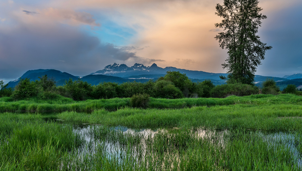 British Columbia, Canada, Province, Trees, Mountains - Meadow Lake Canada - HD Wallpaper 