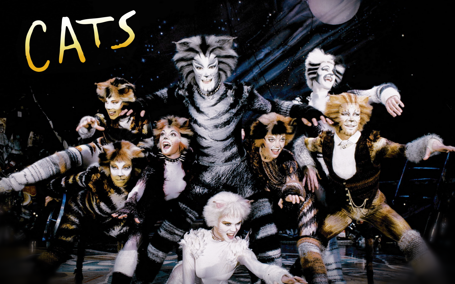 Cats Musical - HD Wallpaper 