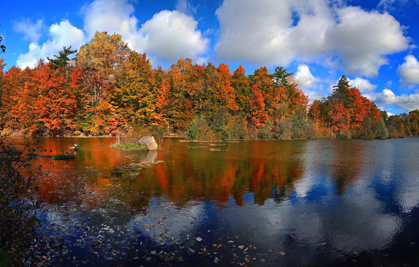 Photo Wallpaper Autumn, Forest, The Sky, Leaves, Clouds, - Reflection - HD Wallpaper 