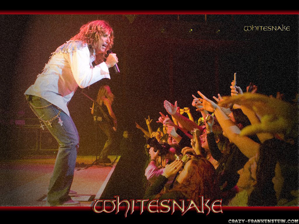 Whitesnake - HD Wallpaper 