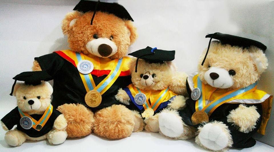 Boneka Beruang Pake Toga - HD Wallpaper 