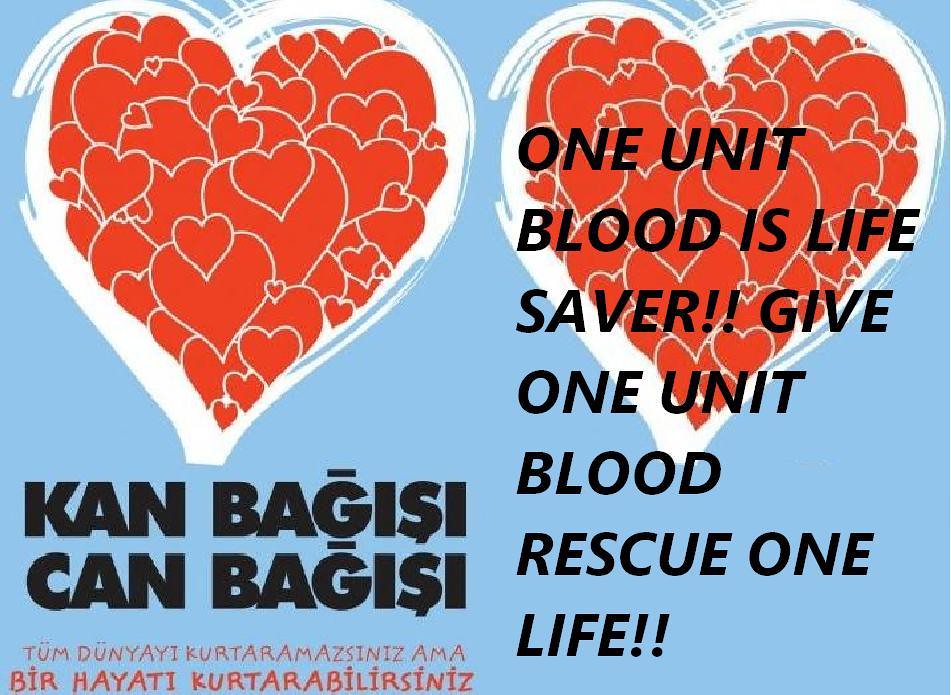 Aa Dog Rescue - HD Wallpaper 