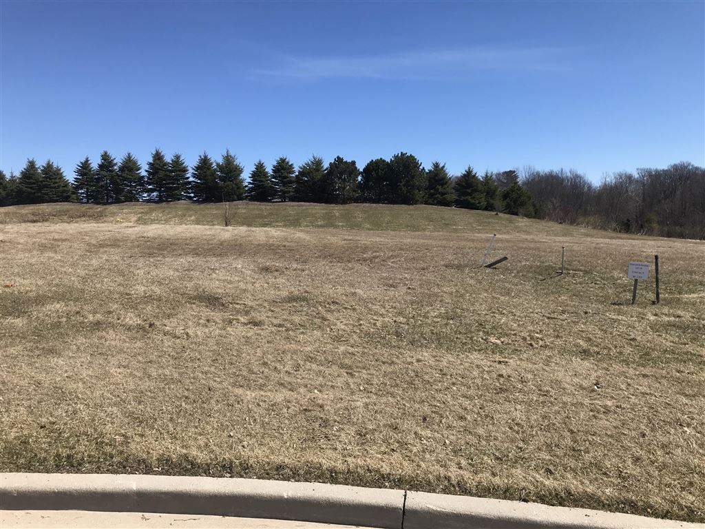 Property Photo - Grass - HD Wallpaper 