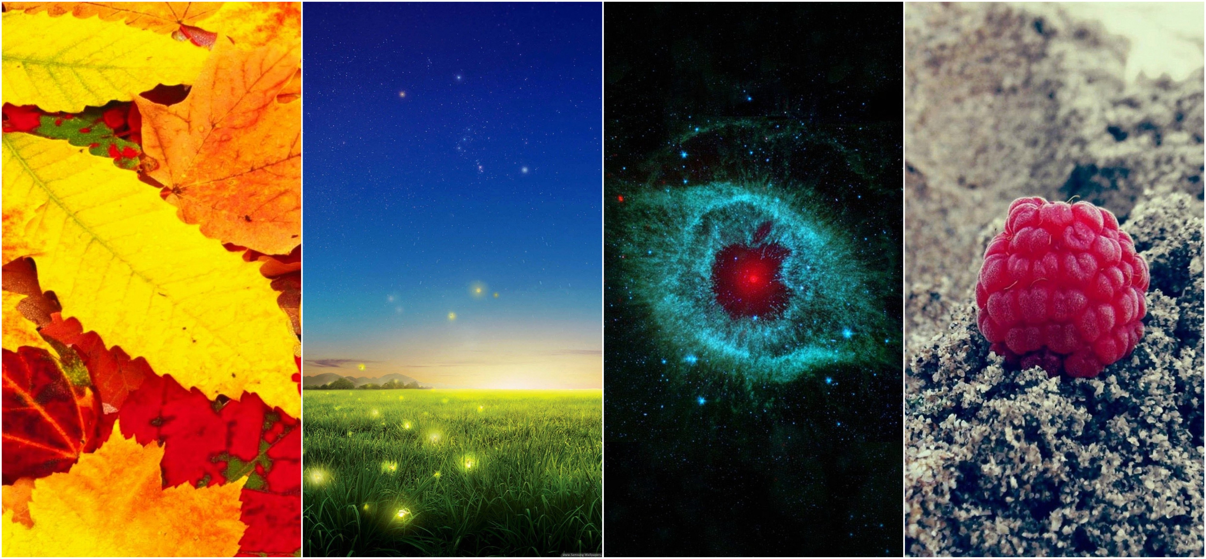 Raspberry Wallpaper Iphone - HD Wallpaper 