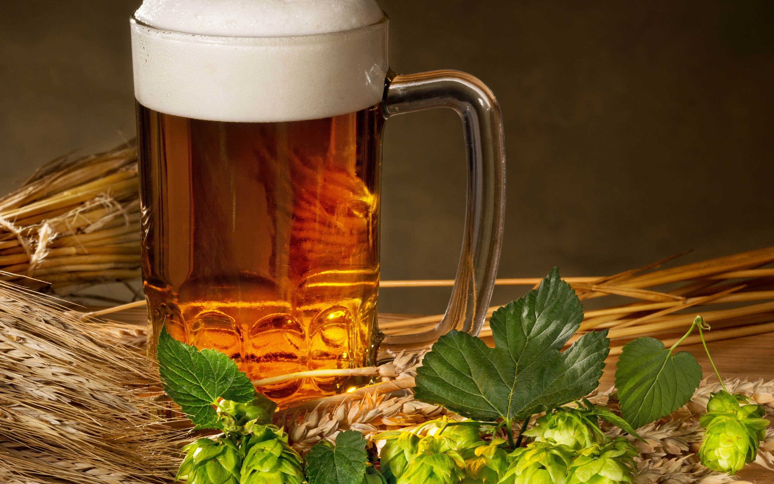 Beer, Hops, Beer Mug, Glass, Wheat - Caneca De Chopp - 2560x1600 Wallpaper  