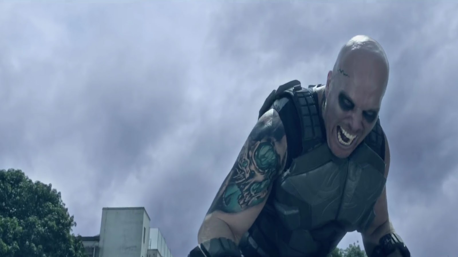 جات الطائر - HD Wallpaper 