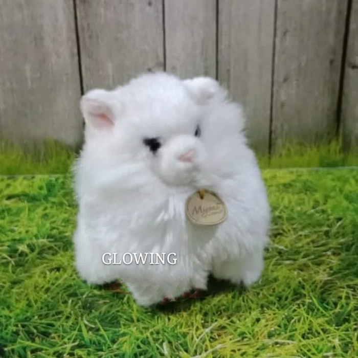 Sabun Kucing Anggora - HD Wallpaper 