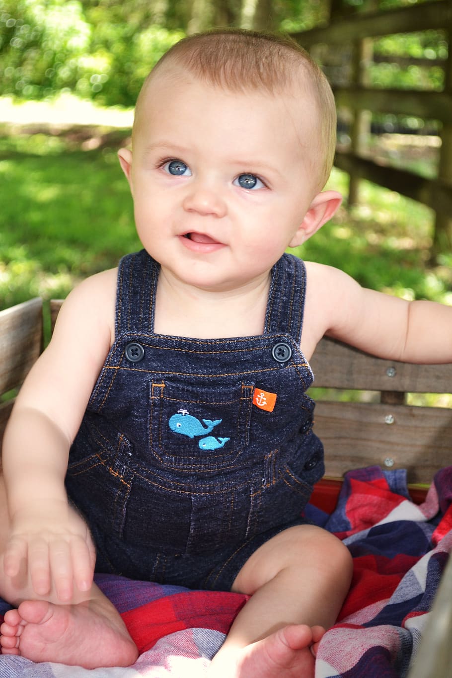 Toddler - HD Wallpaper 