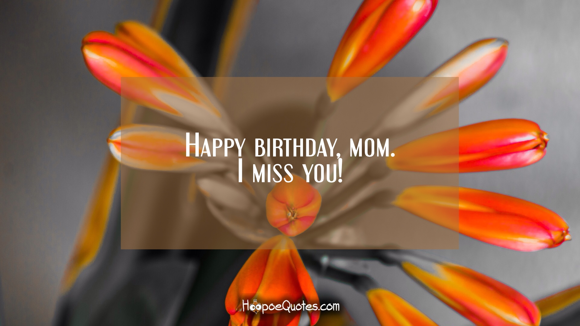Happy Birthday Mom Miss - HD Wallpaper 