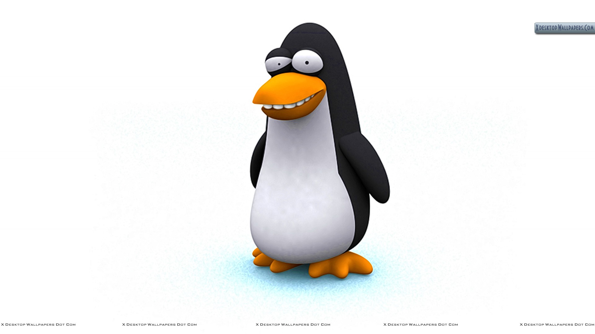 Penguin Wallpaper Funny - HD Wallpaper 